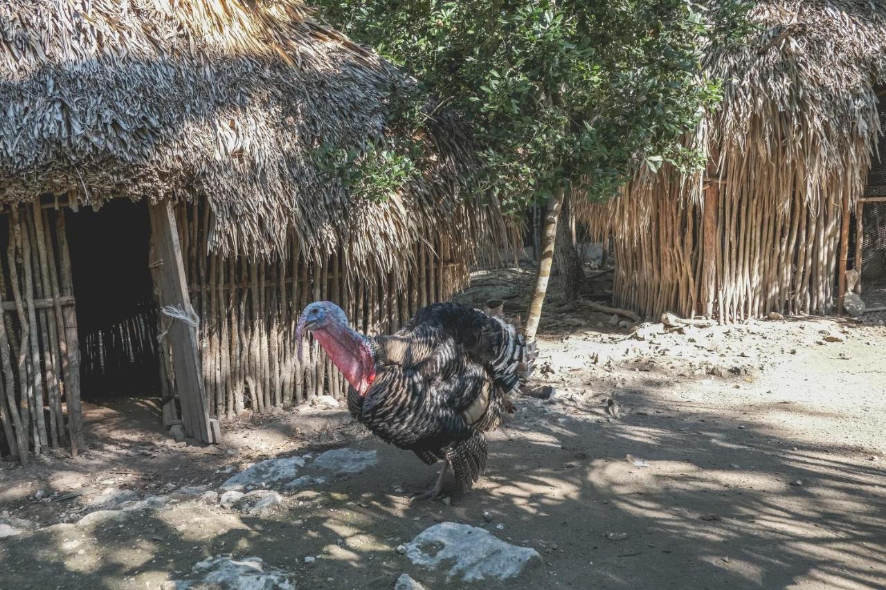 Wakax Hacienda - Cenote & Boutique Hotel - Small Luxury Hotels Of The World Tulum Luaran gambar